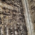 Evaporated Coil Cleaning and ac Maintenance
